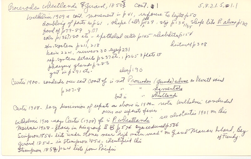 index card