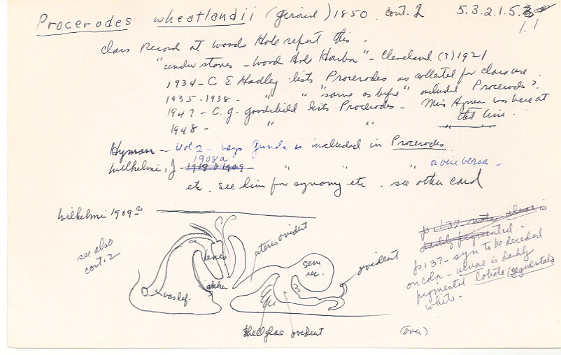 index card