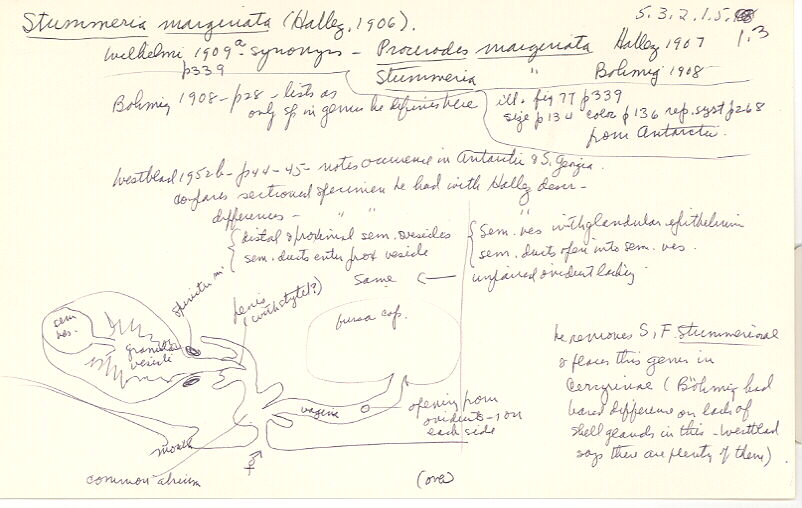 index card