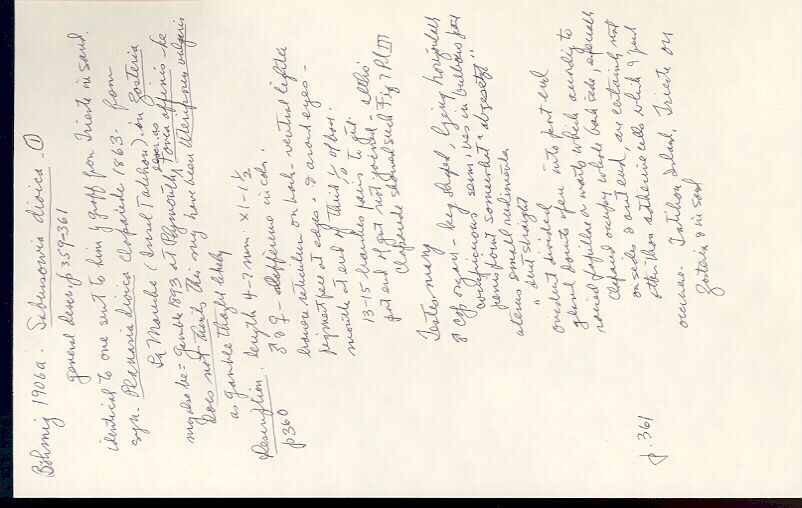 index card