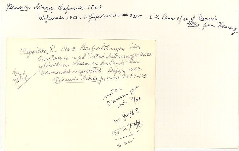 index card