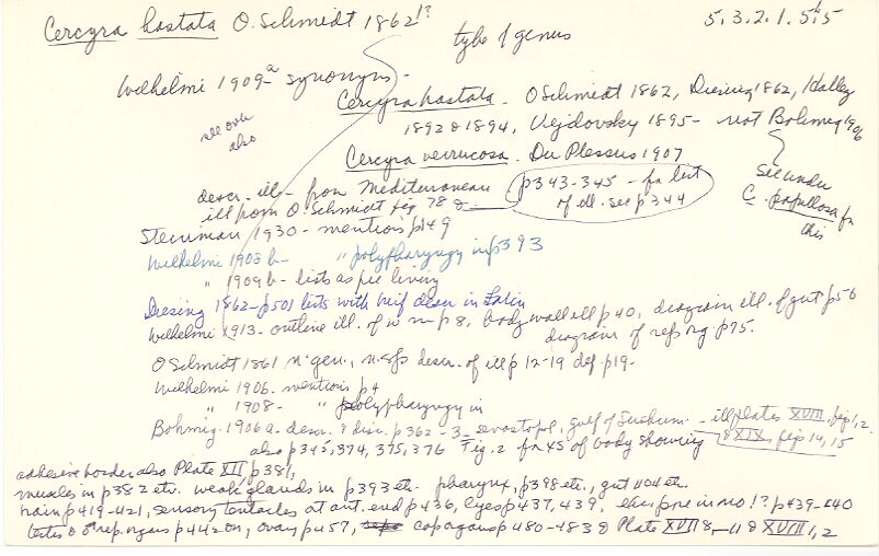 index card
