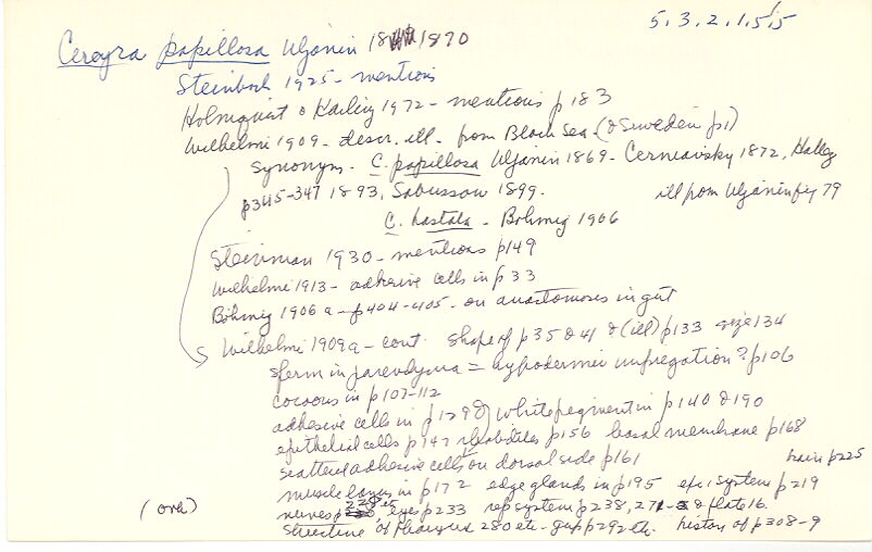 index card