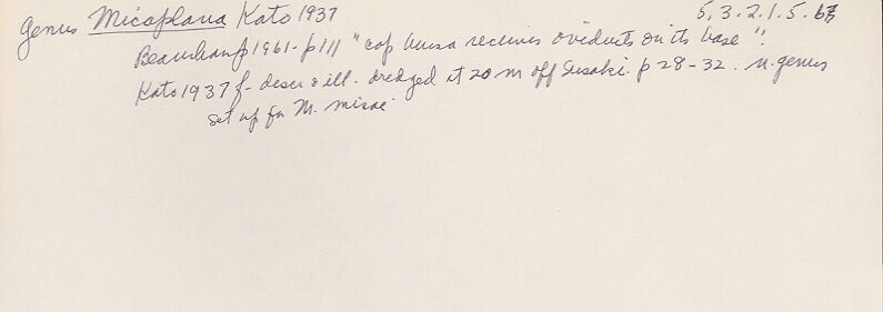 index card