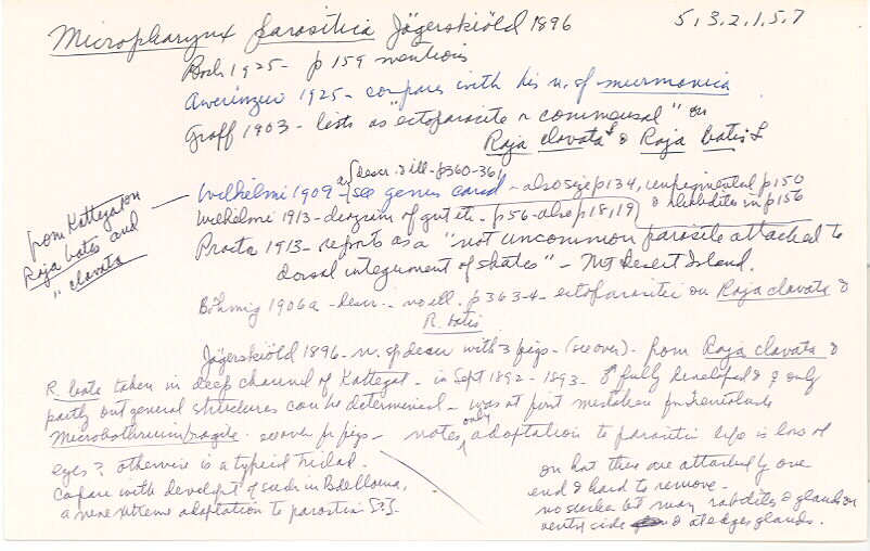 index card