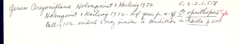 index card