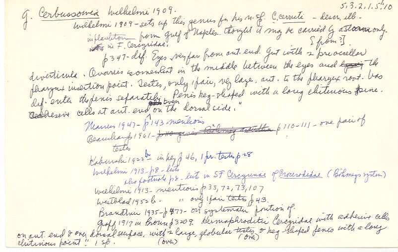 index card