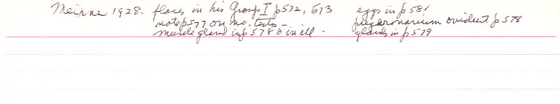 index card