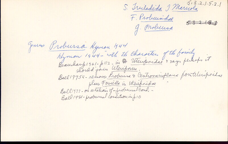 index card