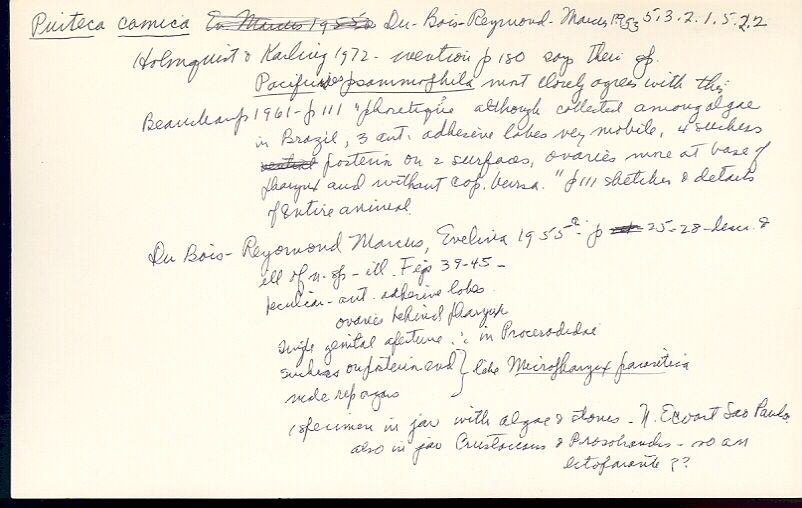 index card