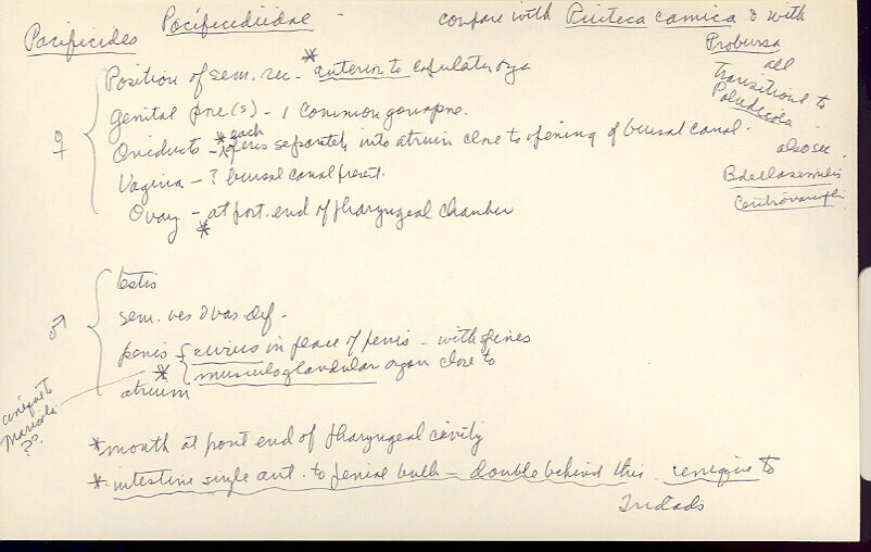 index card