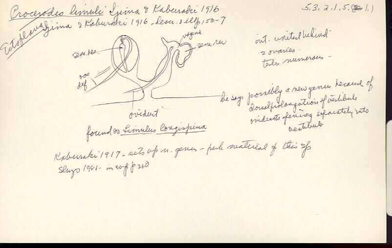 index card