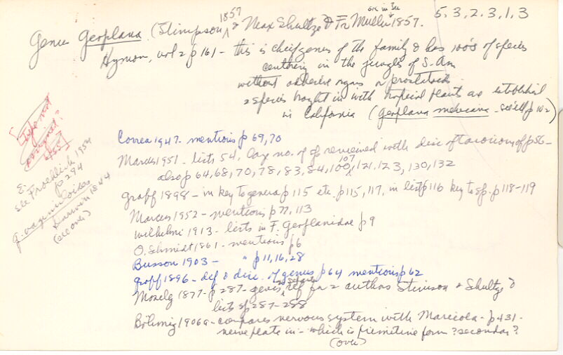 index card
