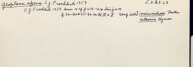 index card