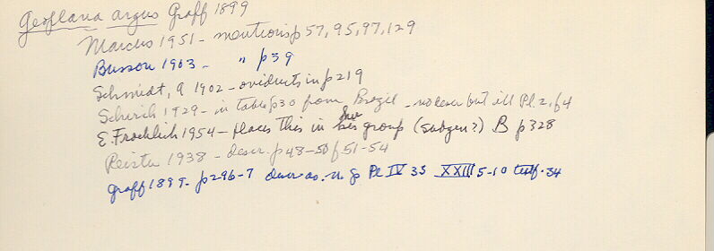 index card