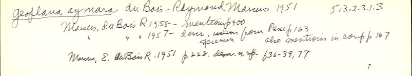 index card
