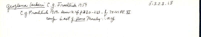 index card
