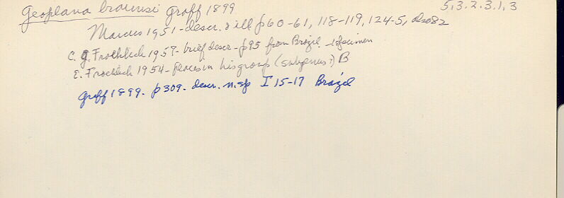 index card