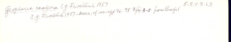 index card
