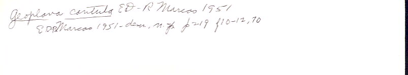 index card