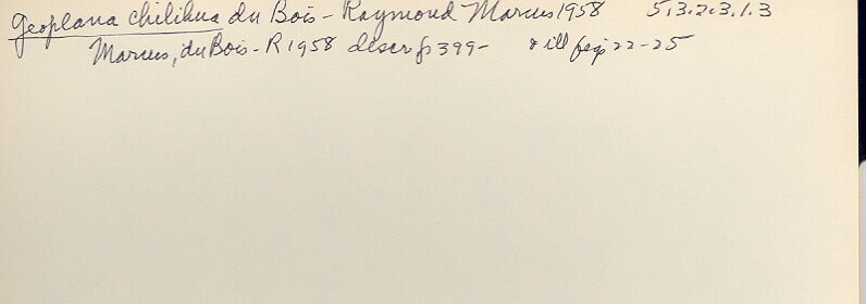 index card