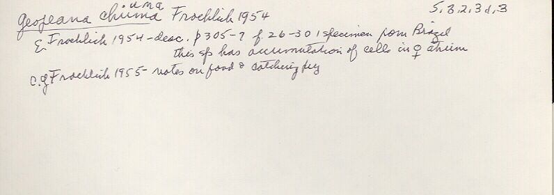 index card
