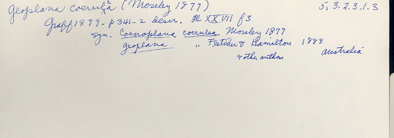 index card