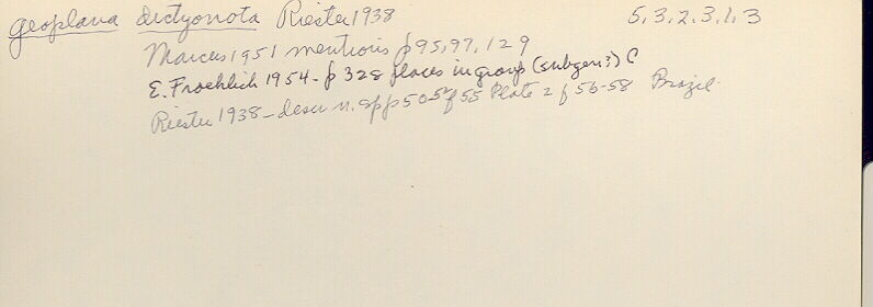 index card
