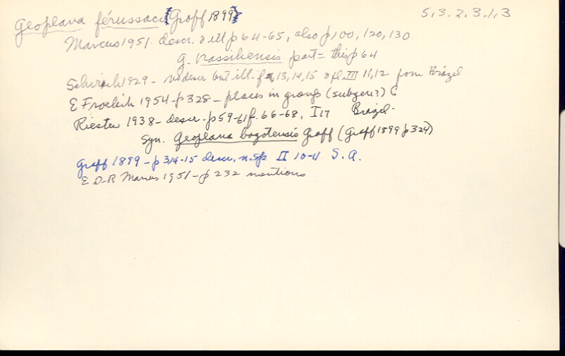 index card