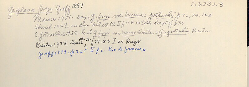 index card