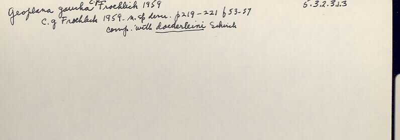 index card