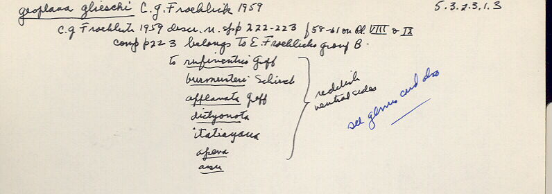 index card