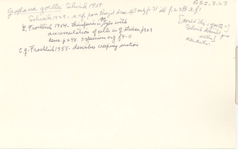 index card