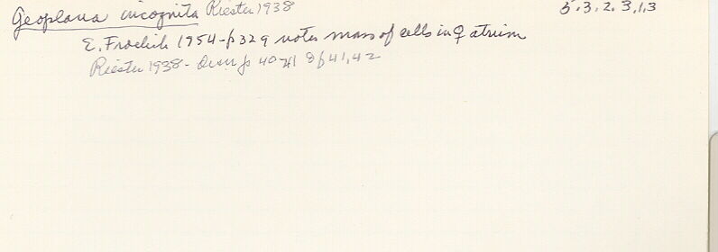 index card