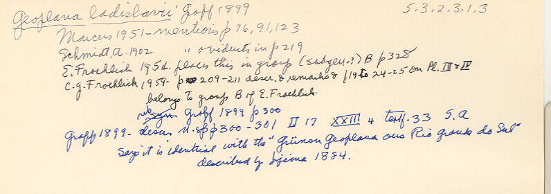 index card