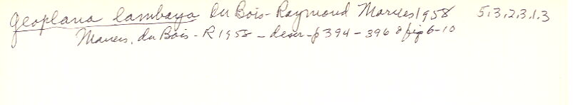 index card