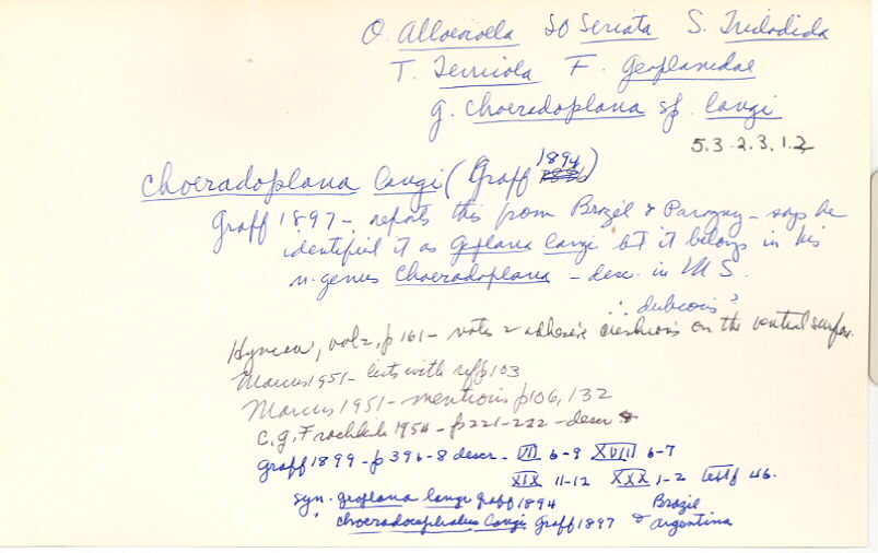 index card
