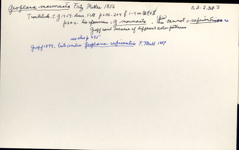 index card
