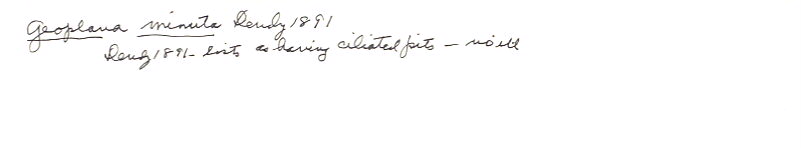 index card