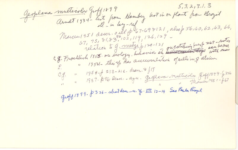 index card