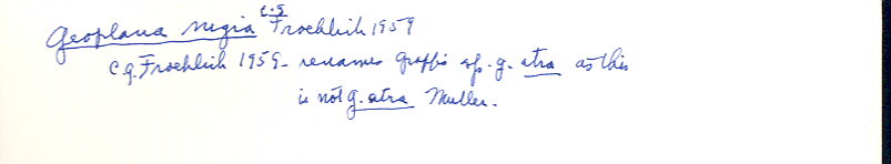 index card