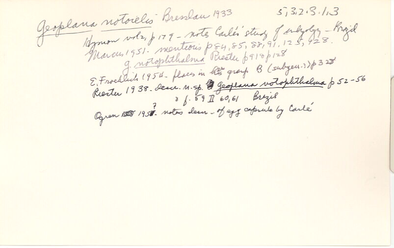 index card
