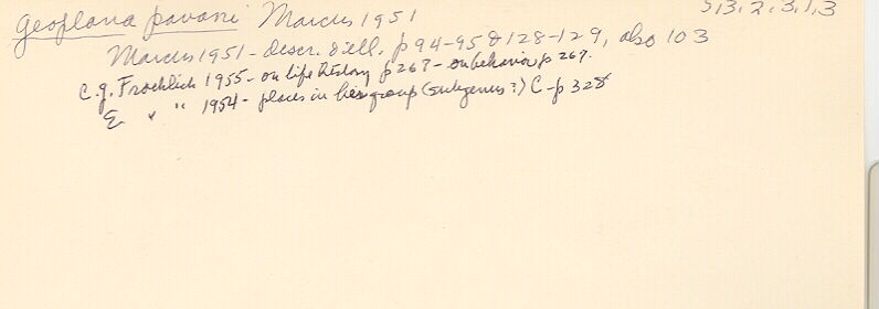 index card
