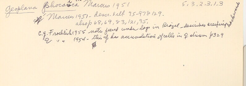 index card