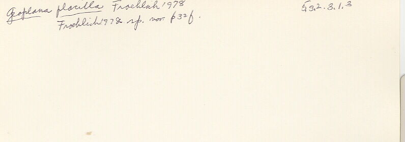 index card