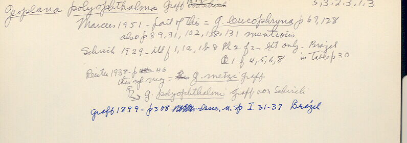 index card
