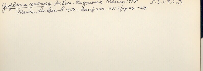 index card