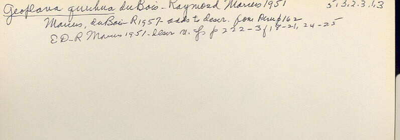 index card