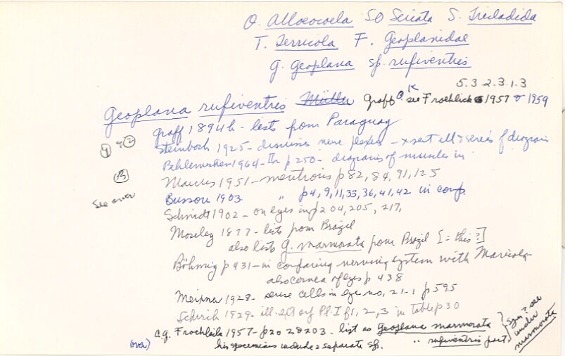 index card