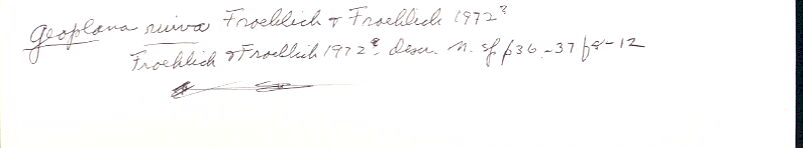 index card